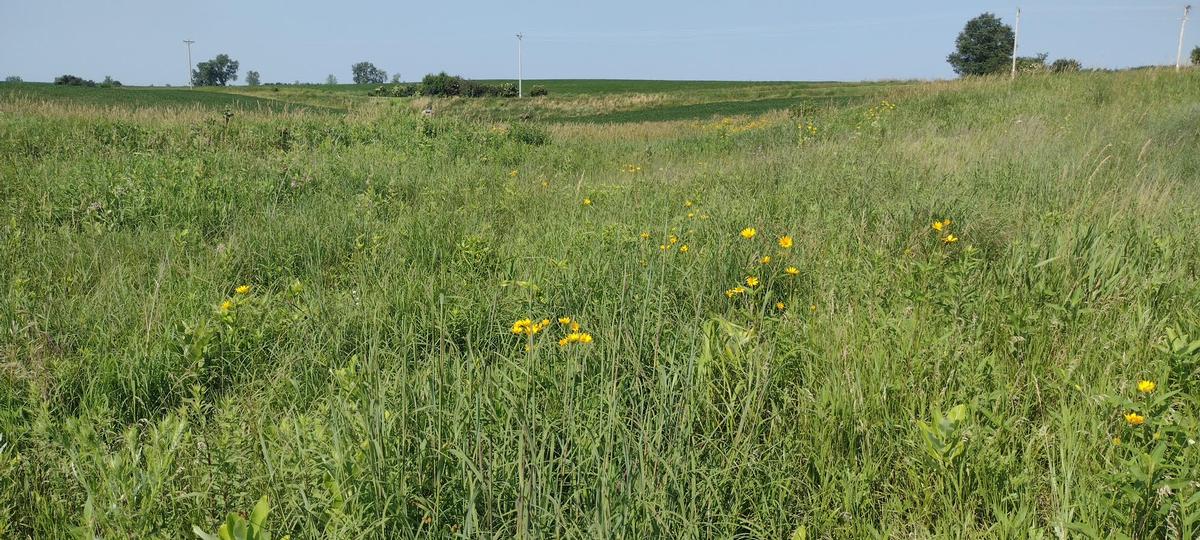 2026 Build a Wildlife Aera Project